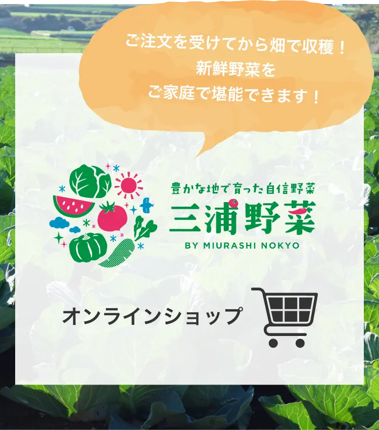 三浦野菜 オンラインショップ