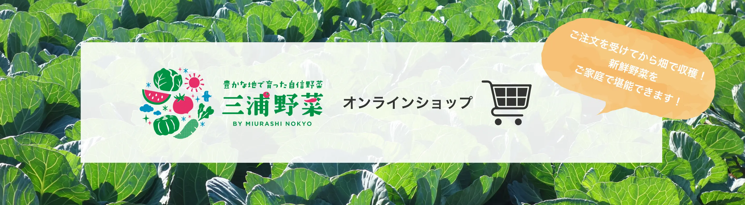 三浦野菜 オンラインショップ